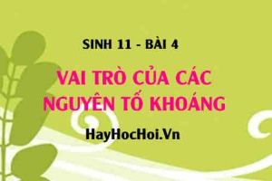 Các nguyên tố khoáng thiết yếu trong cây, vai trò của các nguyên tố dinh dưỡng khoáng và nguồn cung cấp - Sinh 11 bài 4